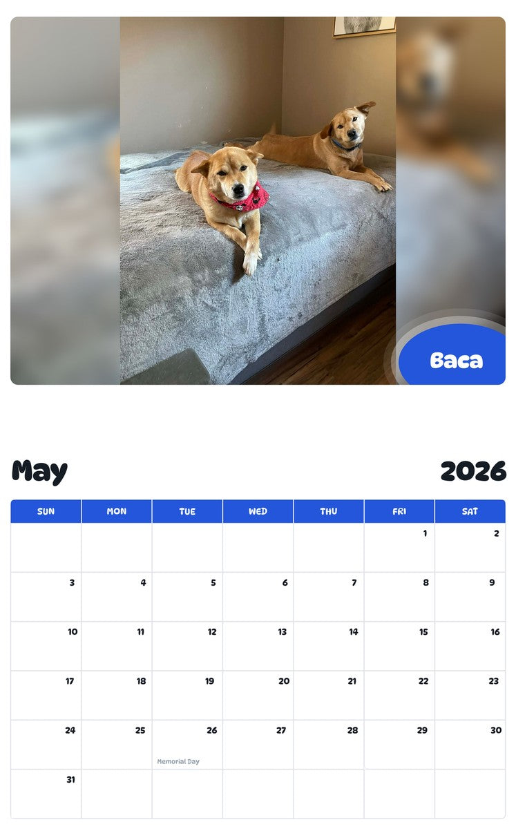 2026 - 2027 Baca - Pawidols Pet Calendar