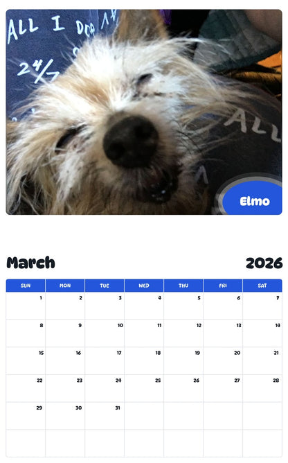 November 2025 - October 2026 Elmo - Pawidols Pet Calendar
