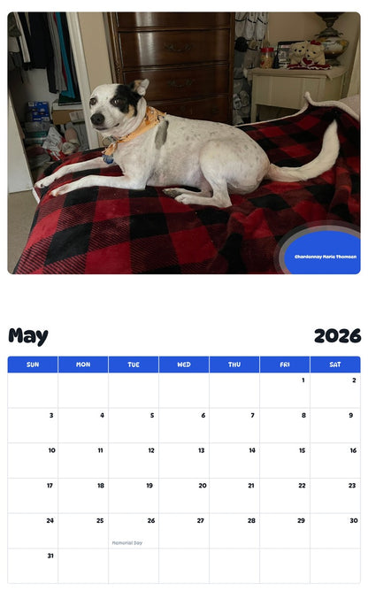2026 - 2027 Chardonnay Marie Thomsen - Pawidols Pet Calendar