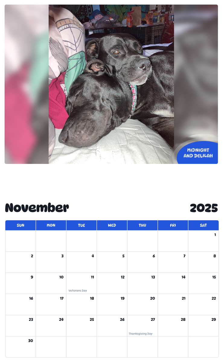 July 2025 - June 2026 Midnight and Delilah - Pawidols Pet Calendar