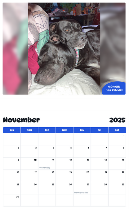 July 2025 - June 2026 Midnight and Delilah - Pawidols Pet Calendar