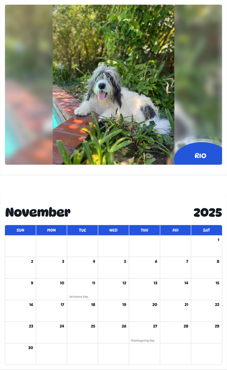 July 2025 - June 2026 rio! - Pawidols Pet Calendar