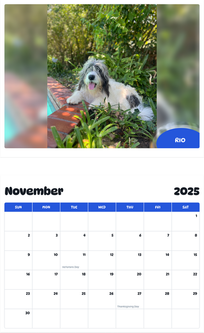 July 2025 - June 2026 rio! - Pawidols Pet Calendar
