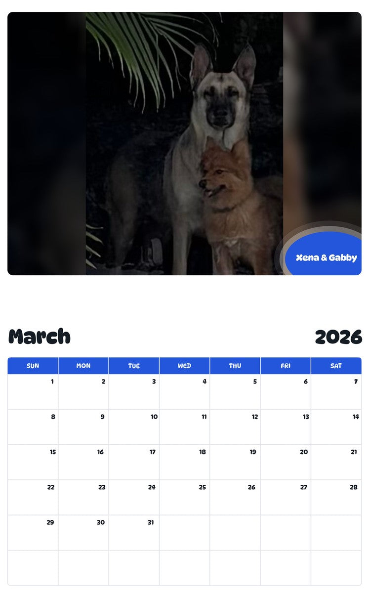 November 2025 - October 2026 Xena & Gabby - Pawidols Pet Calendar