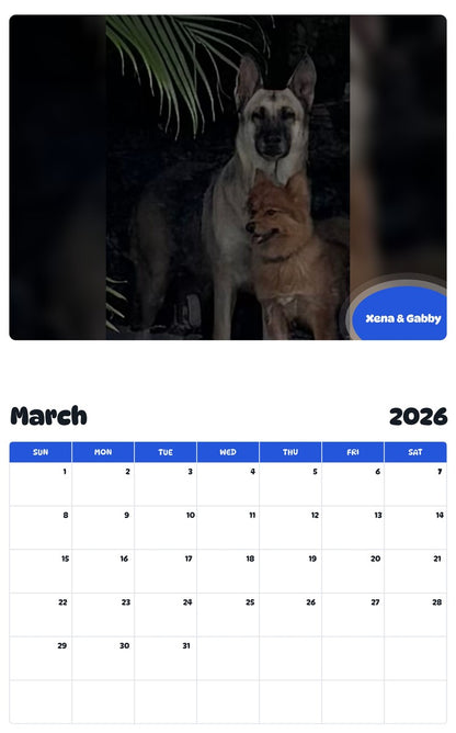 November 2025 - October 2026 Xena & Gabby - Pawidols Pet Calendar