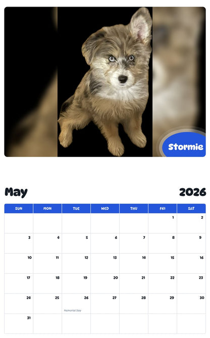 2026 - 2027 Stormie - Pawidols Pet Calendar