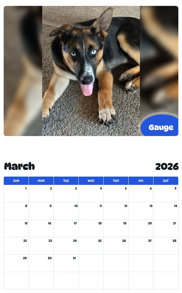 November 2025 - October 2026 Gauge - Pawidols Pet Calendar