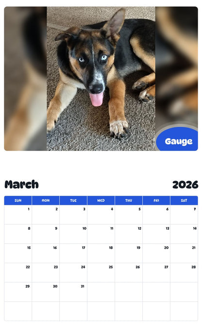 November 2025 - October 2026 Gauge - Pawidols Pet Calendar