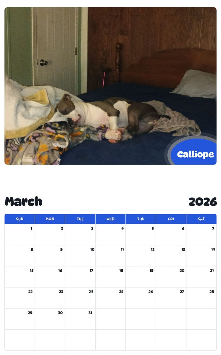 November 2025 - October 2026 Calliope - Pawidols Pet Calendar