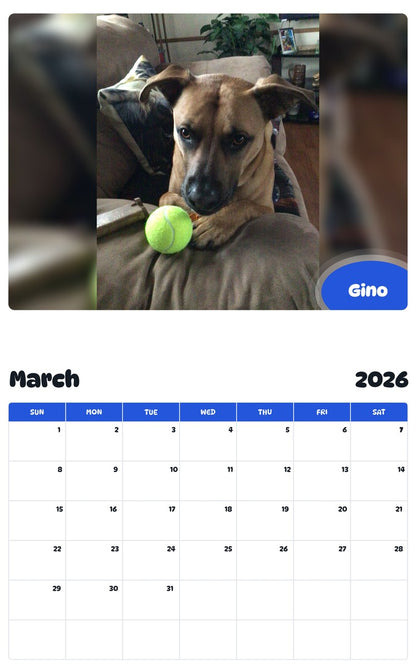November 2025 - October 2026 Gino - Pawidols Pet Calendar