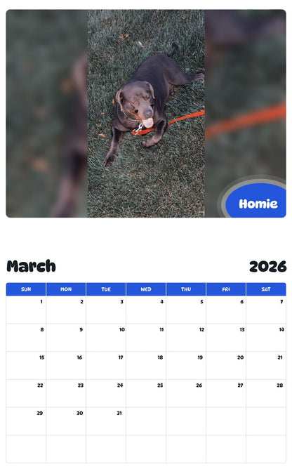 November 2025 - October 2026 Homie - Pawidols Pet Calendar