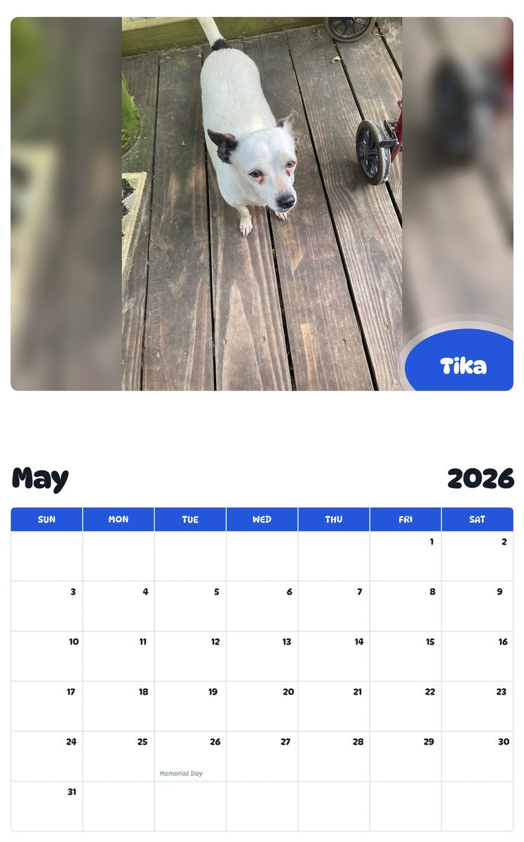 2026 - 2027 Tika - Pawidols Pet Calendar