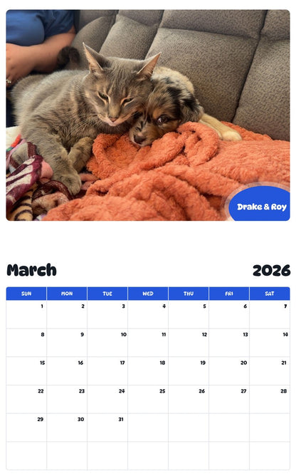 November 2025 - October 2026 Drake & Roy - Pawidols Pet Calendar