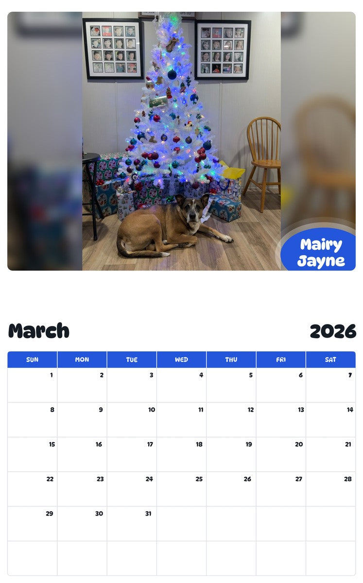 November 2025 - October 2026 Mairy Jayne - Pawidols Pet Calendar