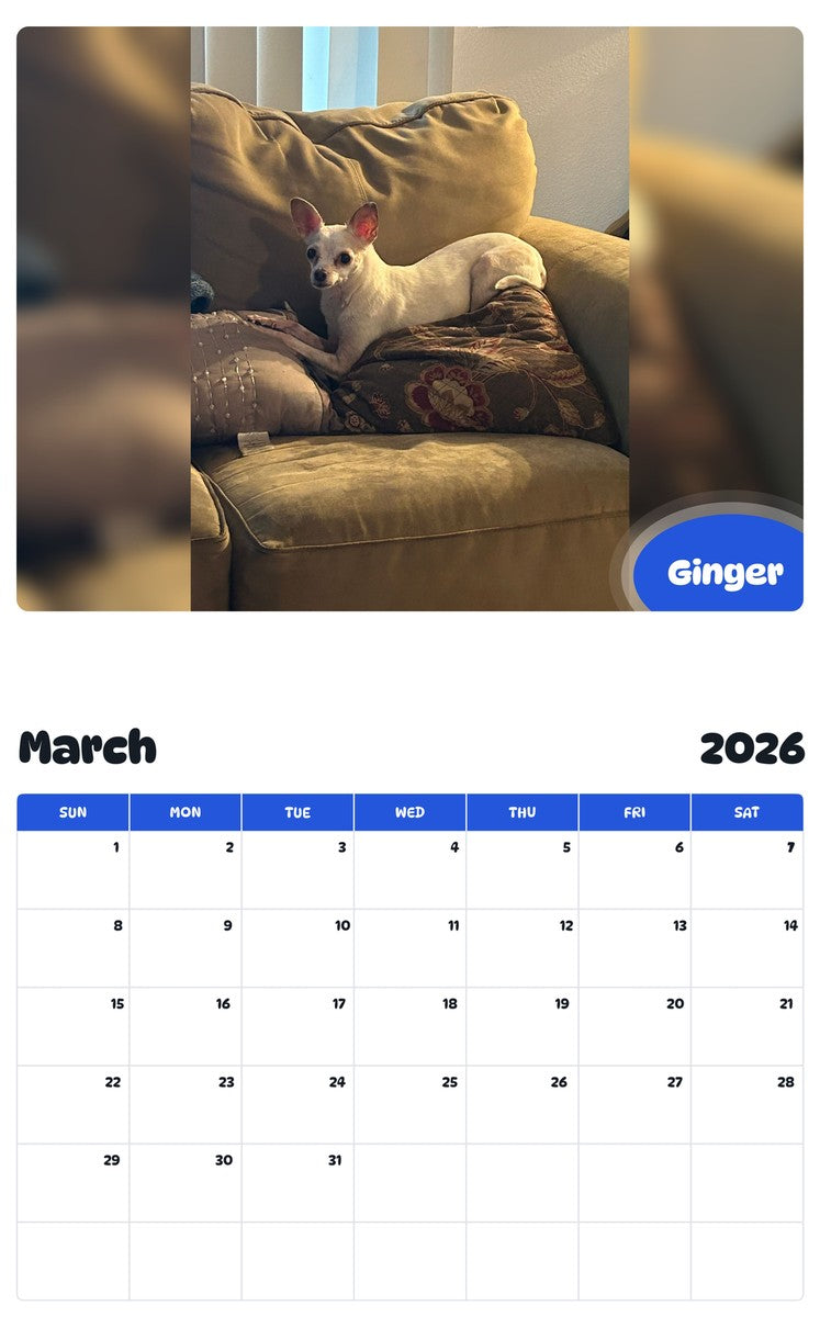November 2025 - October 2026 Ginger - Pawidols Pet Calendar