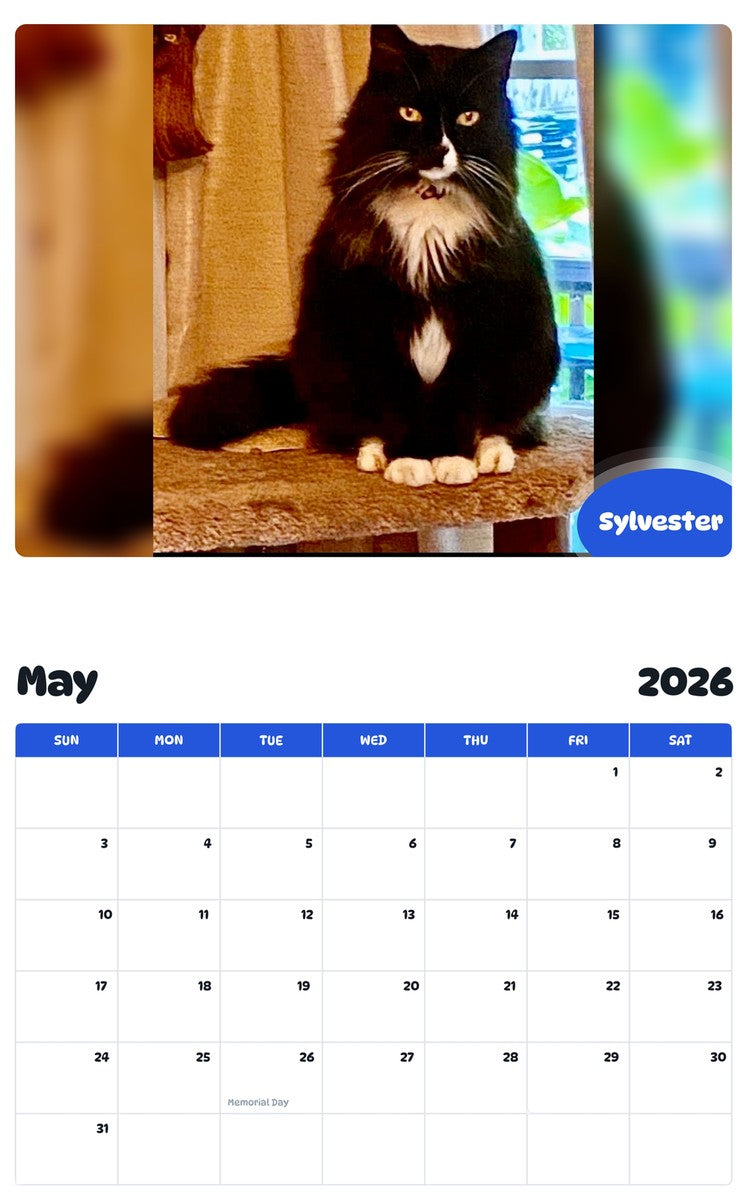 2026 - 2027 Sylvester - Pawidols Pet Calendar