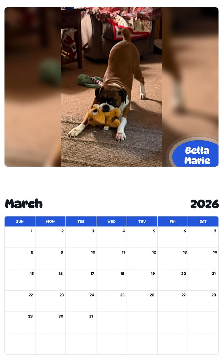 November 2025 - October 2026 Bella Marie - Pawidols Pet Calendar