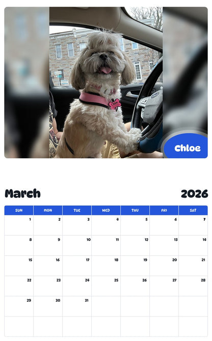 November 2025 - October 2026 Chloe - Pawidols Pet Calendar
