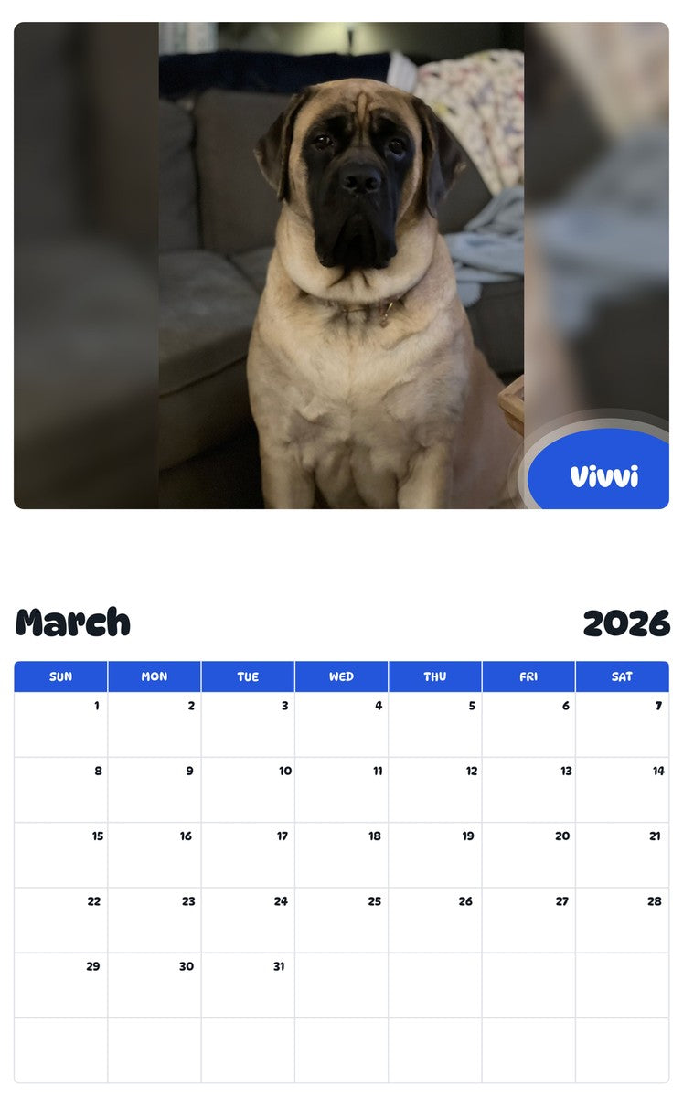 November 2025 - October 2026 Vivvi - Pawidols Pet Calendar