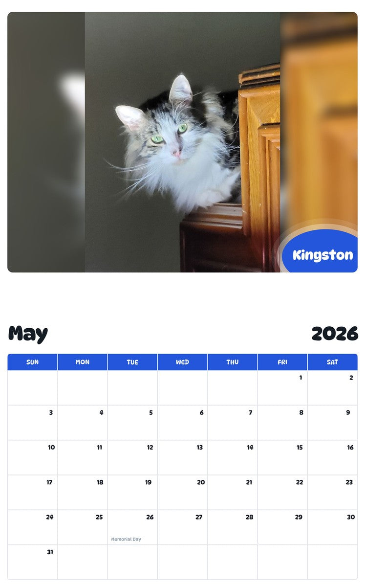 2026 - 2027 Kingston - Pawidols Pet Calendar