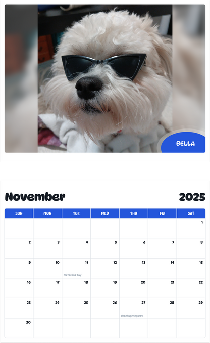July 2025 - June 2026 Bella - Pawidols Pet Calendar