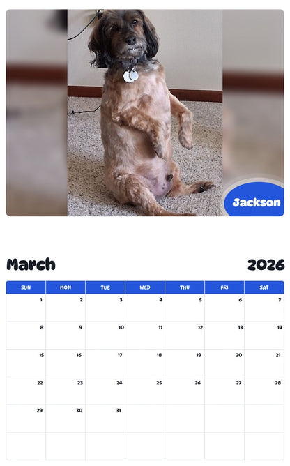November 2025 - October 2026 Jackson - Pawidols Pet Calendar