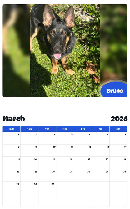 November 2025 - October 2026 Bruno - Pawidols Pet Calendar