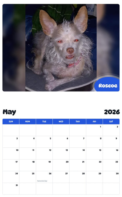 2026 - 2027 Roscoe - Pawidols Pet Calendar