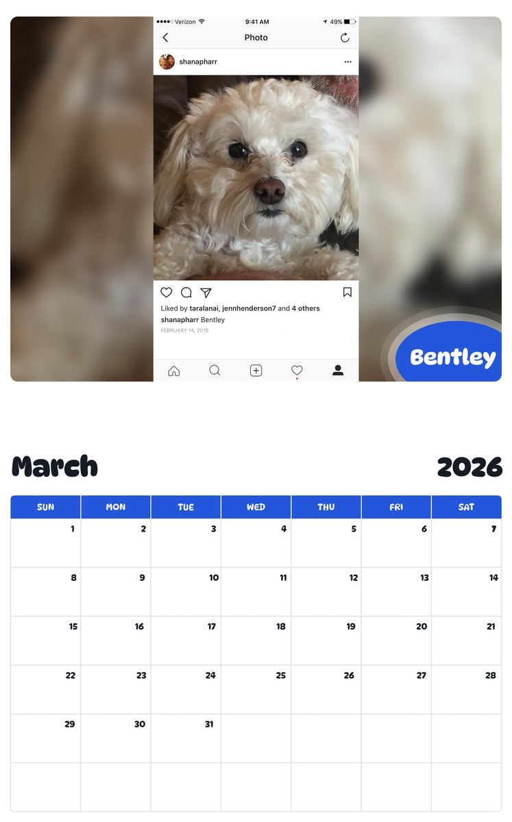 November 2025 - October 2026 Bentley - Pawidols Pet Calendar