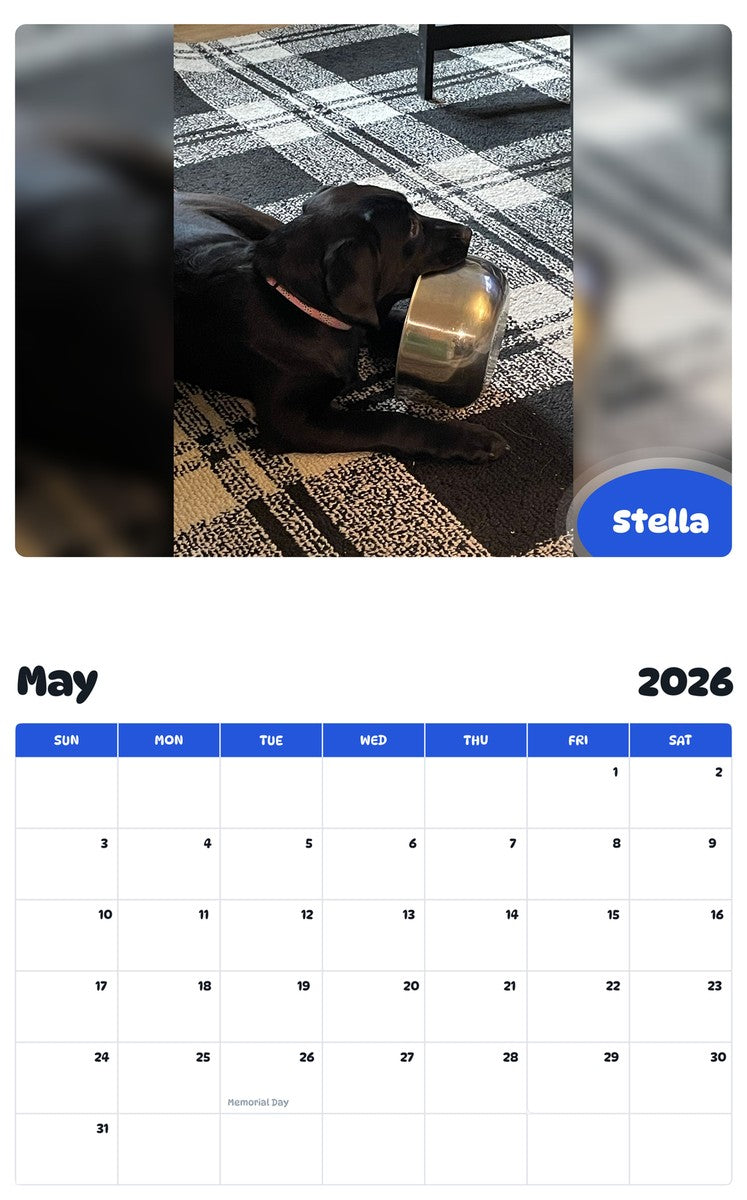 2026 - 2027 Stella - Pawidols Pet Calendar