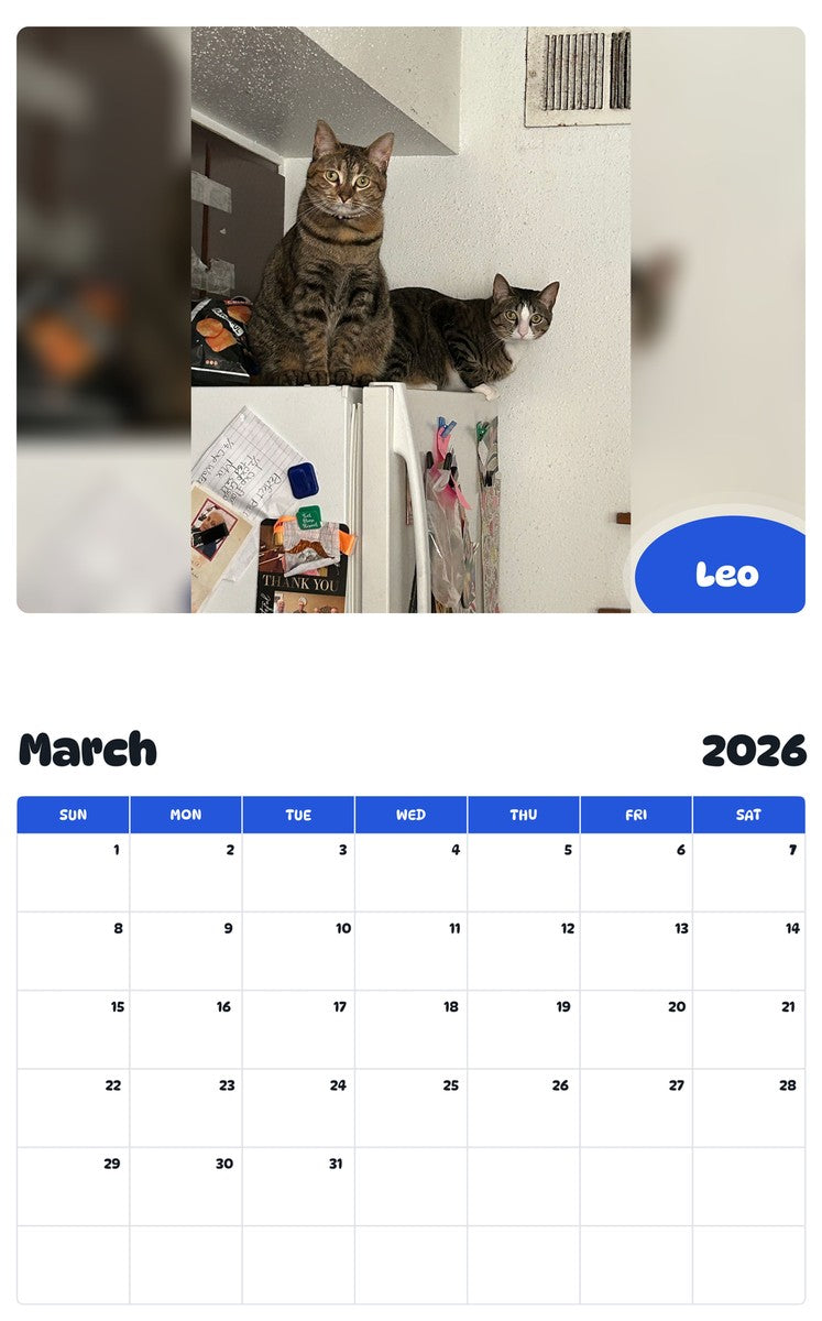 November 2025 - October 2026 Leo - Pawidols Pet Calendar