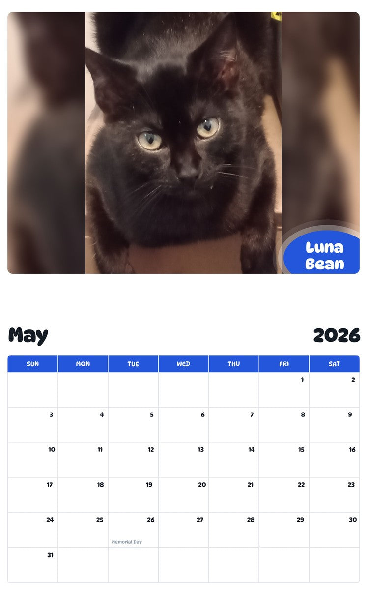 2026 - 2027 Luna Bean - Pawidols Pet Calendar