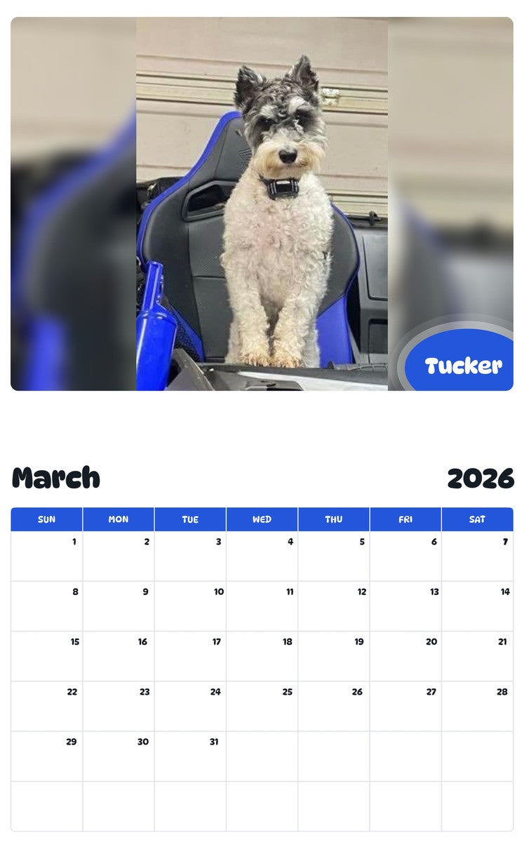 November 2025 - October 2026 Tucker - Pawidols Pet Calendar