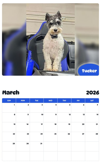 November 2025 - October 2026 Tucker - Pawidols Pet Calendar