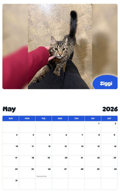 2026 - 2027 Ziggi - Pawidols Pet Calendar