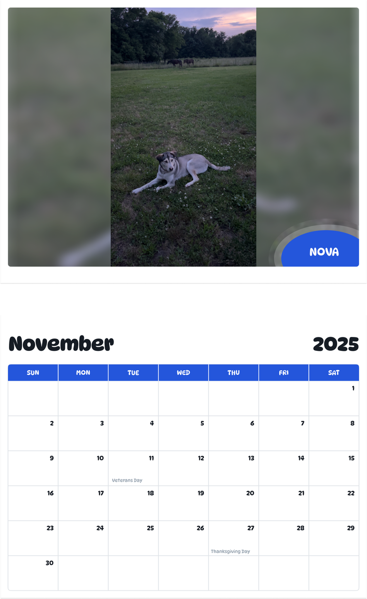 July 2025 - June 2026 Nova - Pawidols Pet Calendar