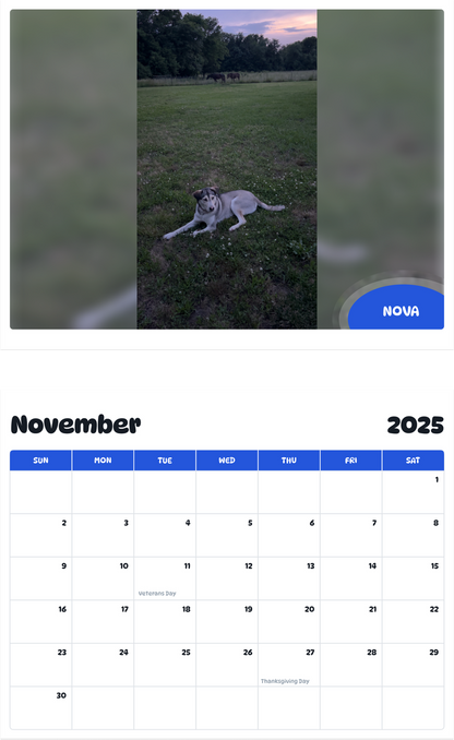July 2025 - June 2026 Nova - Pawidols Pet Calendar