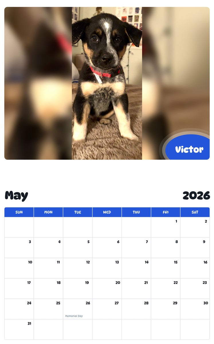 2026 - 2027 Victor - Pawidols Pet Calendar