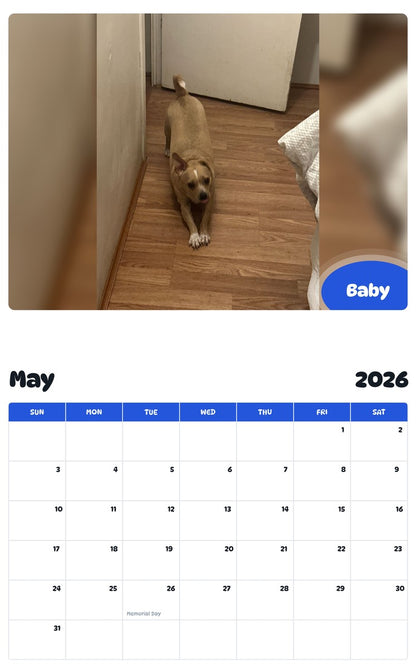 2026 - 2027 Baby - Pawidols Pet Calendar