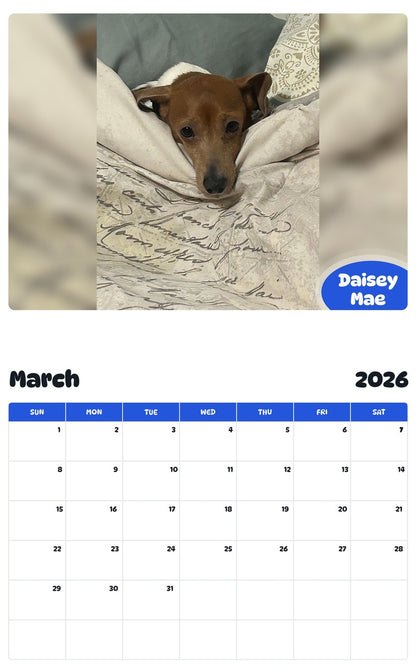 November 2025 - October 2026 Daisey Mae - Pawidols Pet Calendar