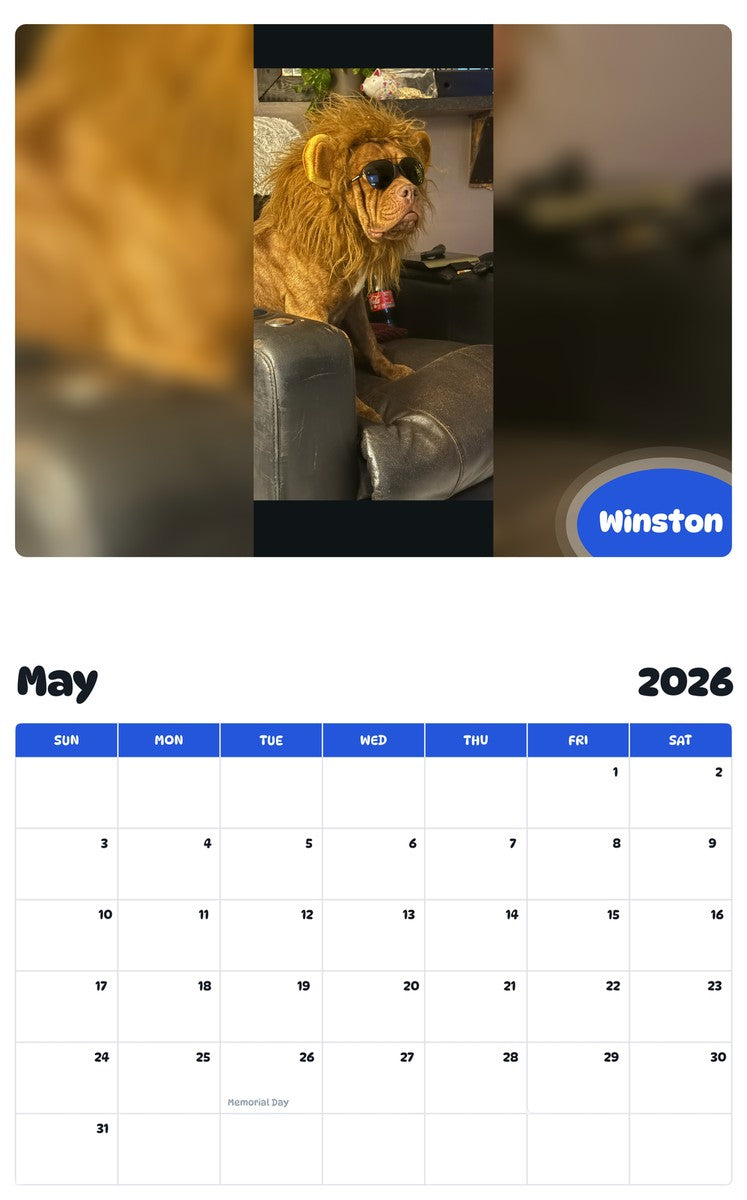 2026 - 2027 Winston - Pawidols Pet Calendar