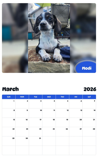 November 2025 - October 2026 Modi - Pawidols Pet Calendar