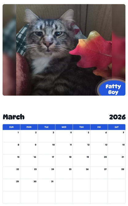November 2025 - October 2026 Fatty Boy - Pawidols Pet Calendar