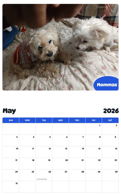 2026 - 2027 Mommas - Pawidols Pet Calendar