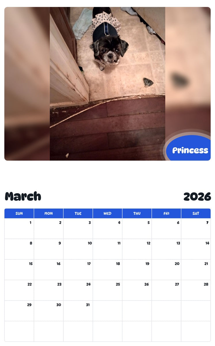 November 2025 - October 2026 Princess - Pawidols Pet Calendar