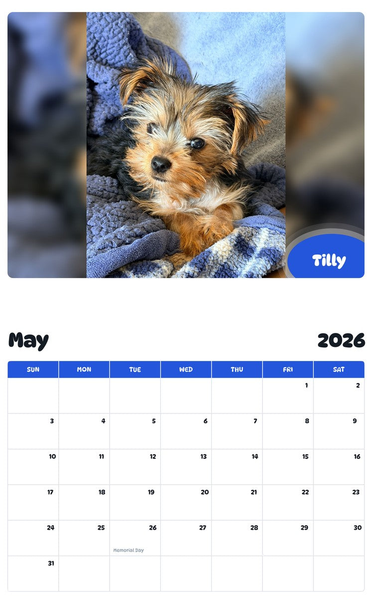 2026 - 2027 Tilly - Pawidols Pet Calendar