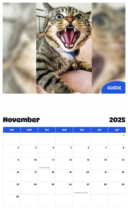 July 2025 - June 2026 Gussie - Pawidols Pet Calendar