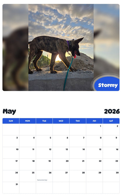 2026 - 2027 Stormy - Pawidols Pet Calendar