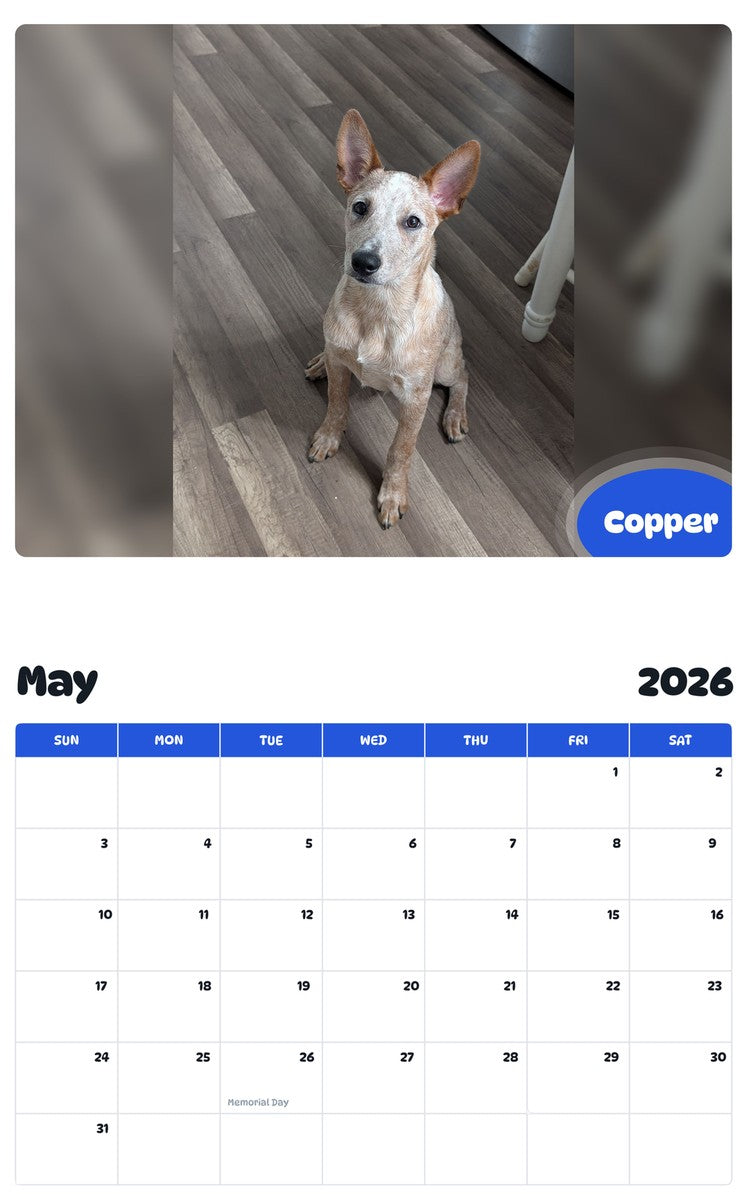 2026 - 2027 Copper - Pawidols Pet Calendar
