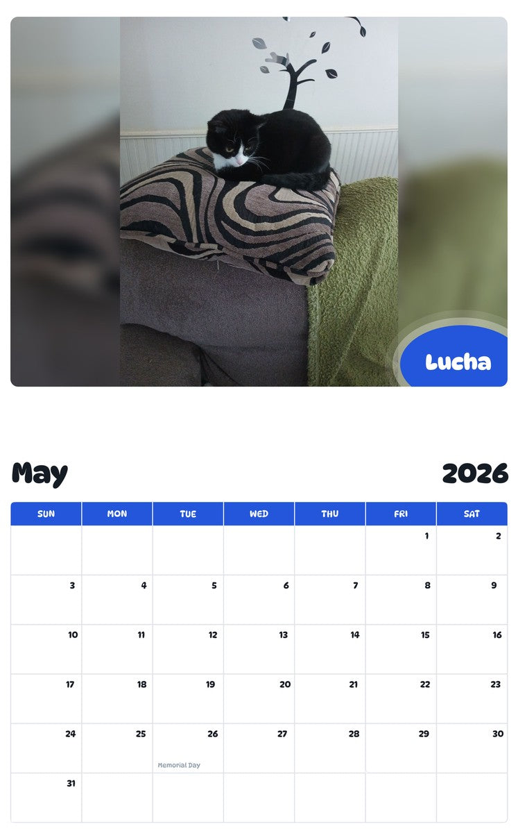 2026 - 2027 Lucha - Pawidols Pet Calendar